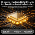 Clear Sound Hearing Aids for Seniors Rechargeable with Noise Cancelling, Hearing Amplifier with 9 Levels of Volume Adjustment, Easy to Use (Black)